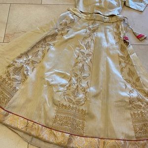 Indian Lahenga choli/ chaniya choli / dress.